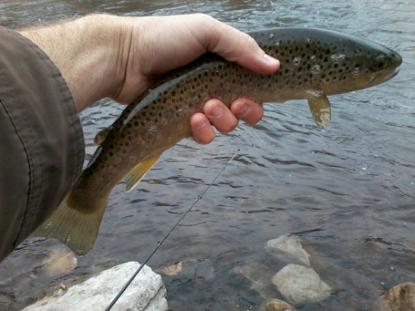 [Image: Spillway.jpg]