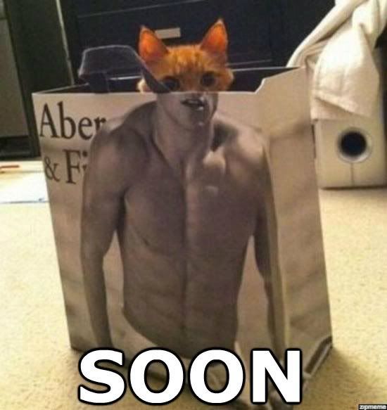 soon-meme2.jpg
