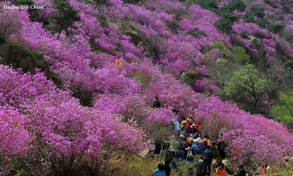  Landscapes of China - Page 18 - SkyscraperPage Forum