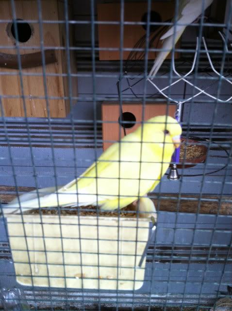 IMG_0818.jpg?t=1341352295