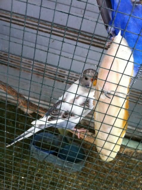 IMG_0821.jpg?t=1341352129