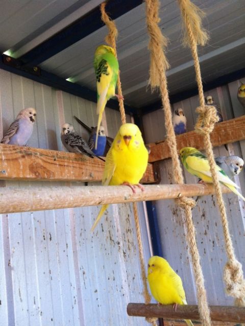 IMG_0070_zps281f6c5d.jpg?t=1373086647