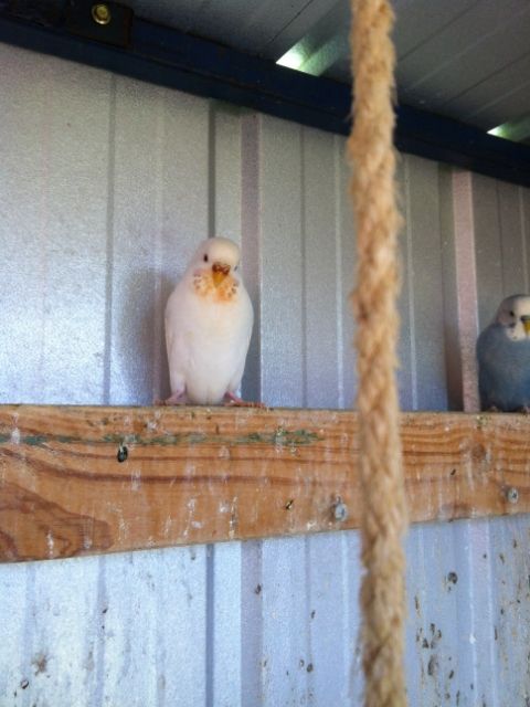 IMG_0073_zps9c123dac.jpg?t=1373086860