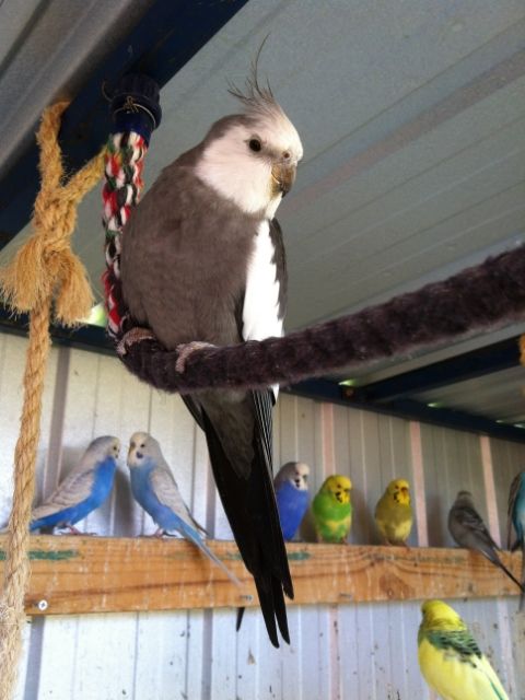 IMG_0078_zpsa017ddc7.jpg?t=1373087412