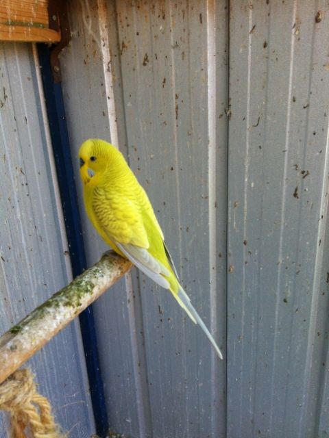 IMG_0079_zps7d3940b3.jpg?t=1373087336