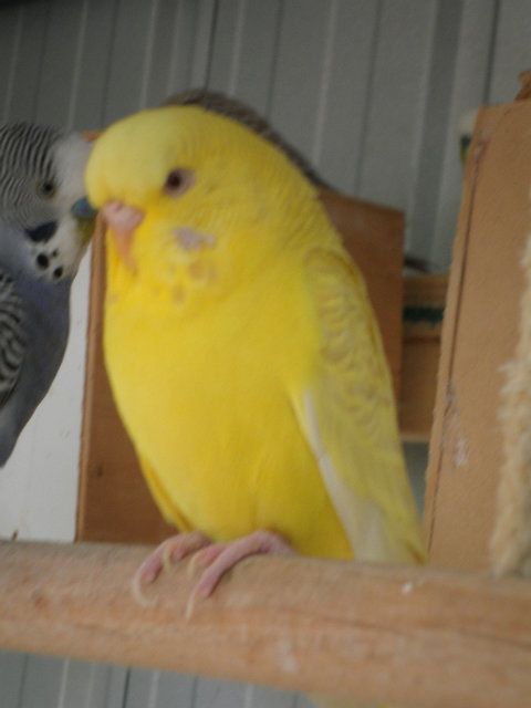 pictures012_zps663fc53d.jpg?t=1355981777