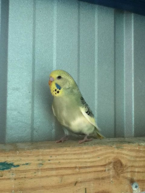 pictures015.jpg?t=1355209908