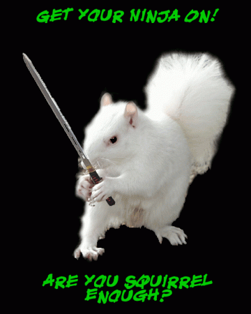 [Linked Image from i1054.photobucket.com]