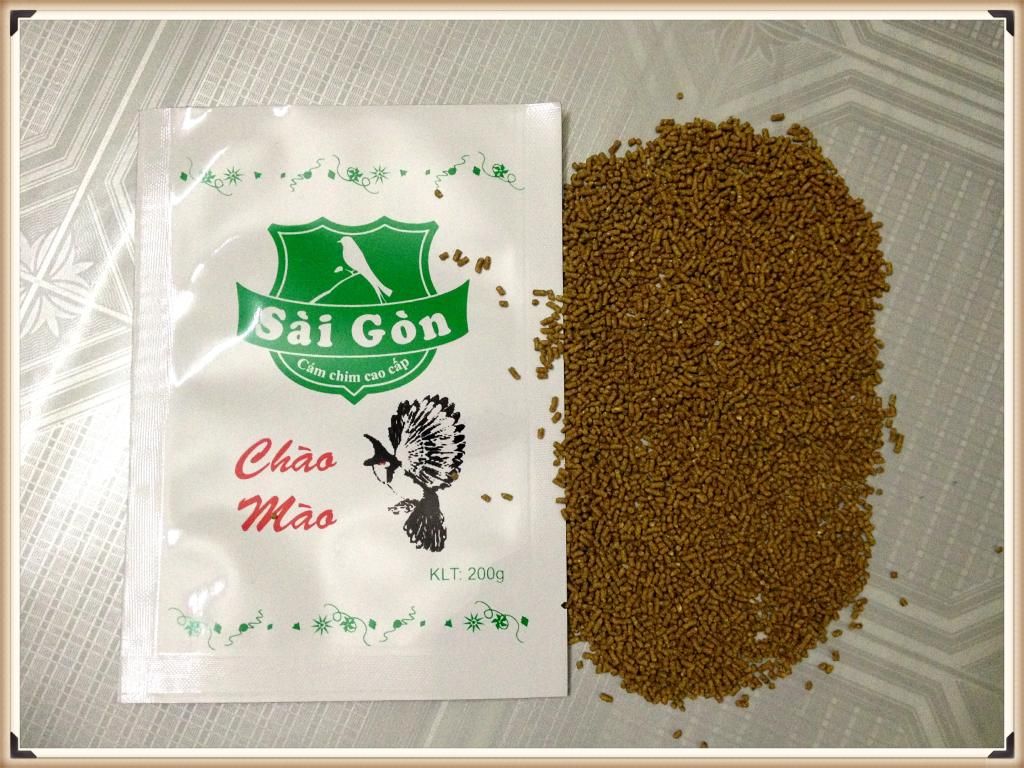 Cám chim Sài Gòn : Chào Mào | Họa Mi | Sơn Ca | Vành Khuyên | Chích Chòe