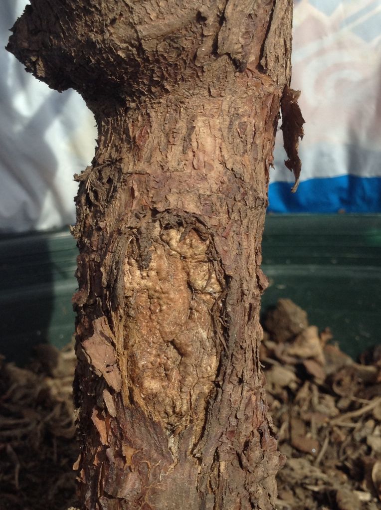 Photobucket Pictures, Images and Photos