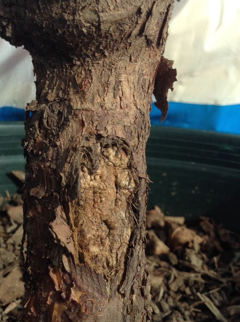 Photobucket Pictures, Images and Photos