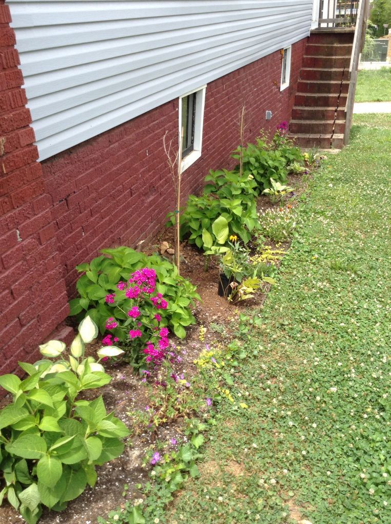 photo d2927849b14a16e1182d031c02a63af5_zps1e6587a8.jpg