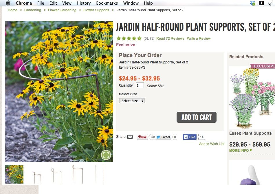 photo plantsupport2_zpsebb9b5e2.jpg