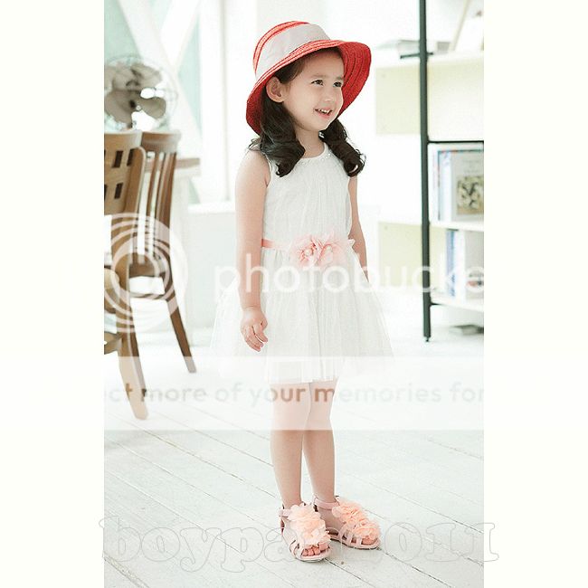 Kids Toddlers Girls Princess Sleeveless Lovely Flower Tulle Tutu Dress size2 7