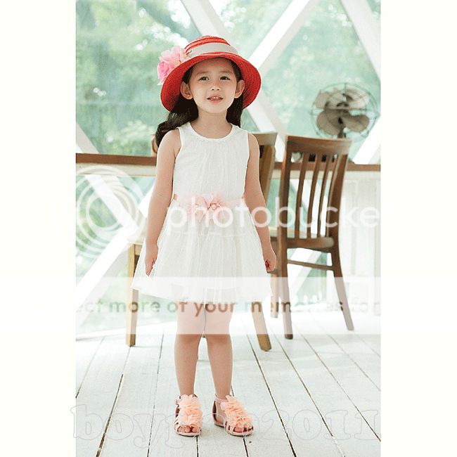 Kids Toddlers Girls Princess Sleeveless Lovely Flower Tulle Tutu Dress size2 7