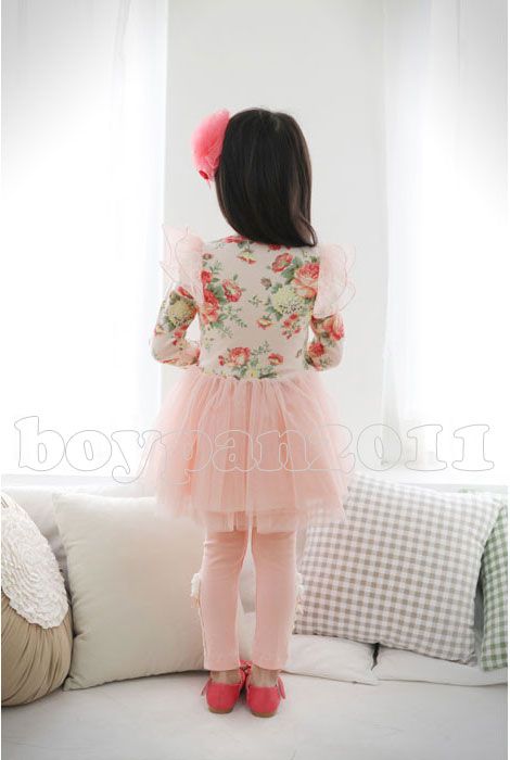 New Kids Toddlers Girls Lovely Flower Long Sleeves Tulle Tutu Dress Sz 2 7Year