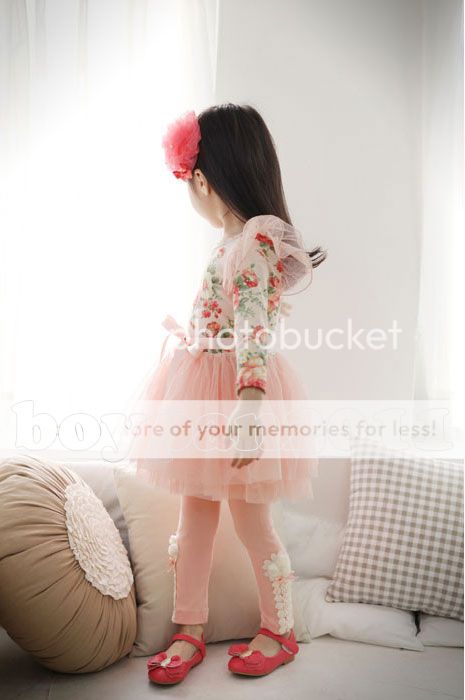 New Kids Toddlers Girls Lovely Flower Long Sleeves Tulle Tutu Dress Sz 2 7Year