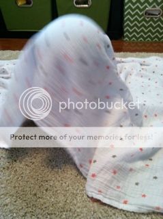 Photobucket Pictures, Images and Photos