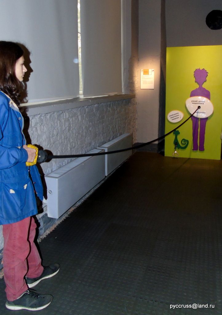 photo DSC00042_zpsczywejwq.jpg
