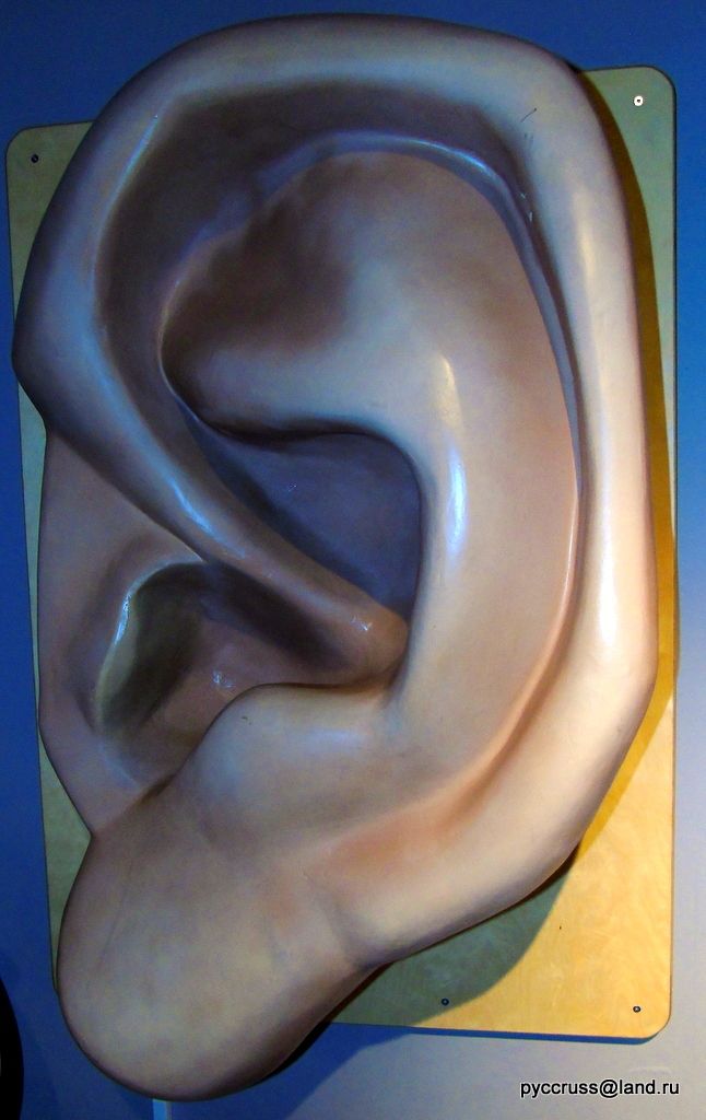 photo DSC00089_zpsg9dxijd0.jpg