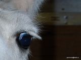 photo DSC00124_zpsvtwfdmz2.jpg