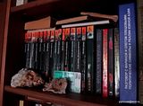 photo DSC05418_zps327a1cc2.jpg