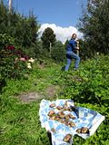 photo DSC08255_zps2a7769f9.jpg