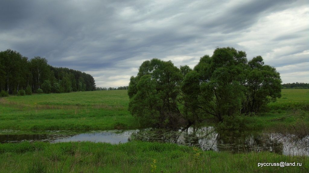 photo DSC00881_zpsx4cbye05.jpg