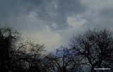 photo DSC00435_zpsznlxgadp.jpg