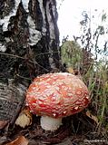photo DSC02767_zps5jugrd9z.jpg