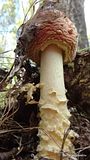 photo DSC03158_zpsxjgwoidm.jpg