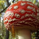 photo DSC03169_zpssg6dyxnt.jpg