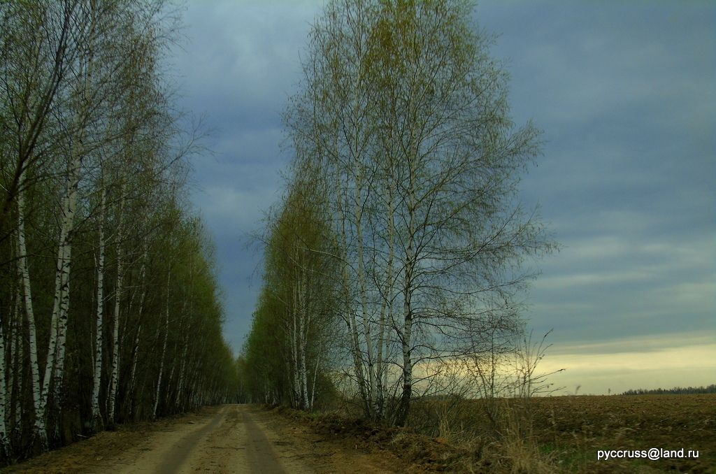 photo DSC00211-001_zpsuayaxidp.jpg