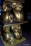 photo DSC00271_zps3ppxpvls.jpg
