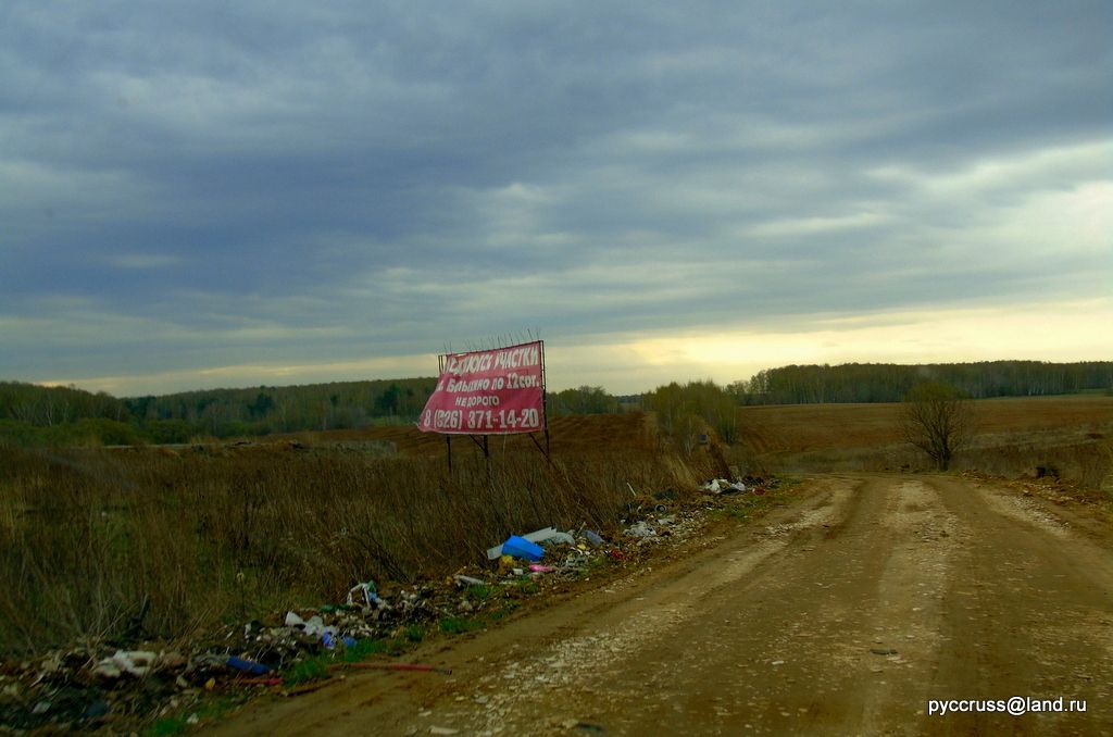 photo DSC00203-001_zps2gjb6y4k.jpg