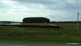 photo DSC00117_zpsl6ojsswt.jpg